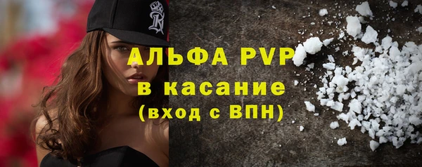 прущие грибы Армянск