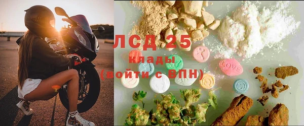 прущие грибы Армянск